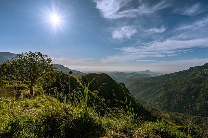 Discover Ella - Ella Rock, Little Adam's Peak & Nine Arch Bridge - Photo 1 of 6